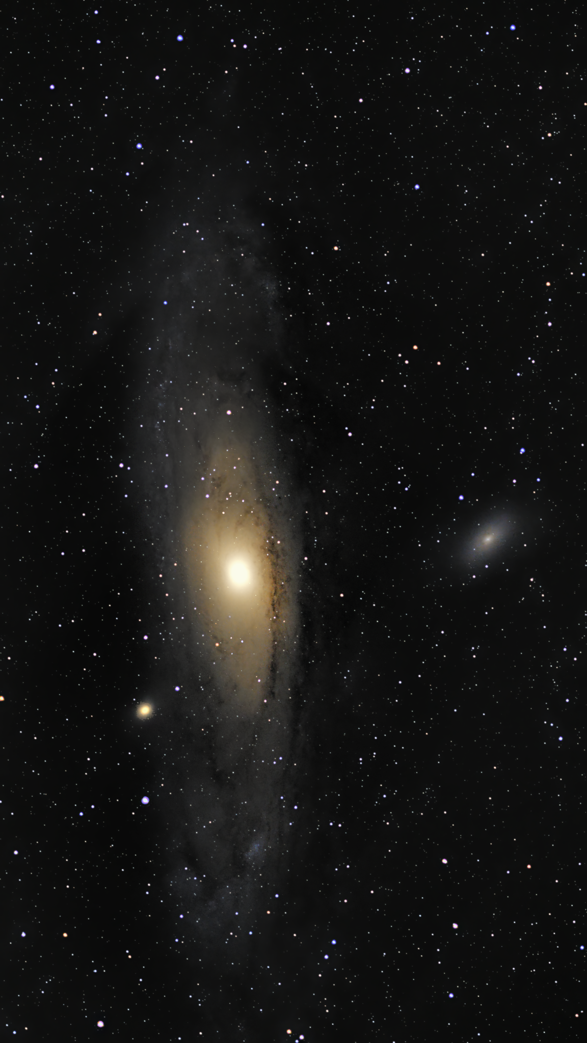 Processed portrait of the Andromeda Galaxy with a bright core, dust lanes, and companion galaxies