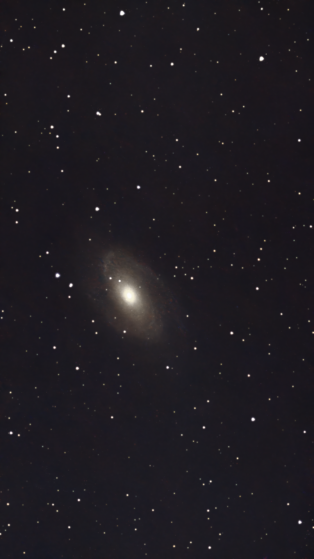 Processed image of Messier 81 surrounded by a clean field of stars